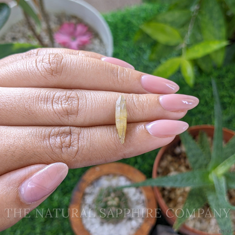 3.58 Ct. Yellow Sapphire from Ceylon (Sri Lanka)