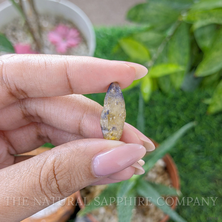12.71 Ct. Bi Color / Parti Sapphire from Ceylon (Sri Lanka)