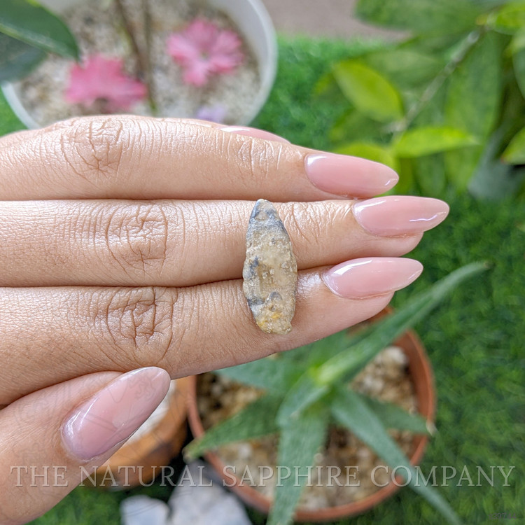 12.71 Ct. Bi Color / Parti Sapphire from Ceylon (Sri Lanka)