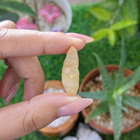 19.15 Ct. Yellow Sapphire from Ceylon (Sri Lanka) Life Style