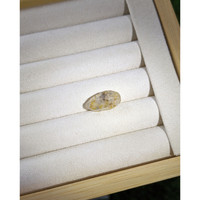 10.03 Ct. Bi Color / Parti Sapphire from Ceylon (Sri Lanka) Life Style