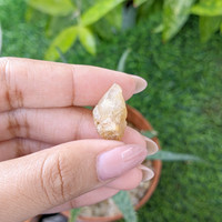 17.36 Ct. Yellow Sapphire from Ceylon (Sri Lanka) Life Style