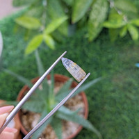 4.11 Ct. Bi Color / Parti Sapphire from Ceylon (Sri Lanka) Life Style