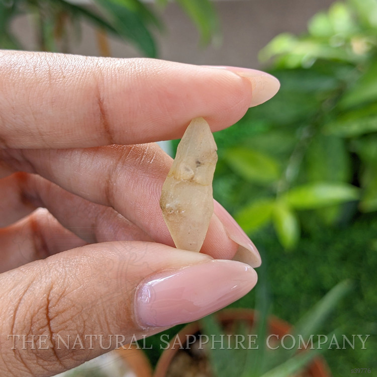 10.59 Ct. Yellow Sapphire from Ceylon (Sri Lanka)
