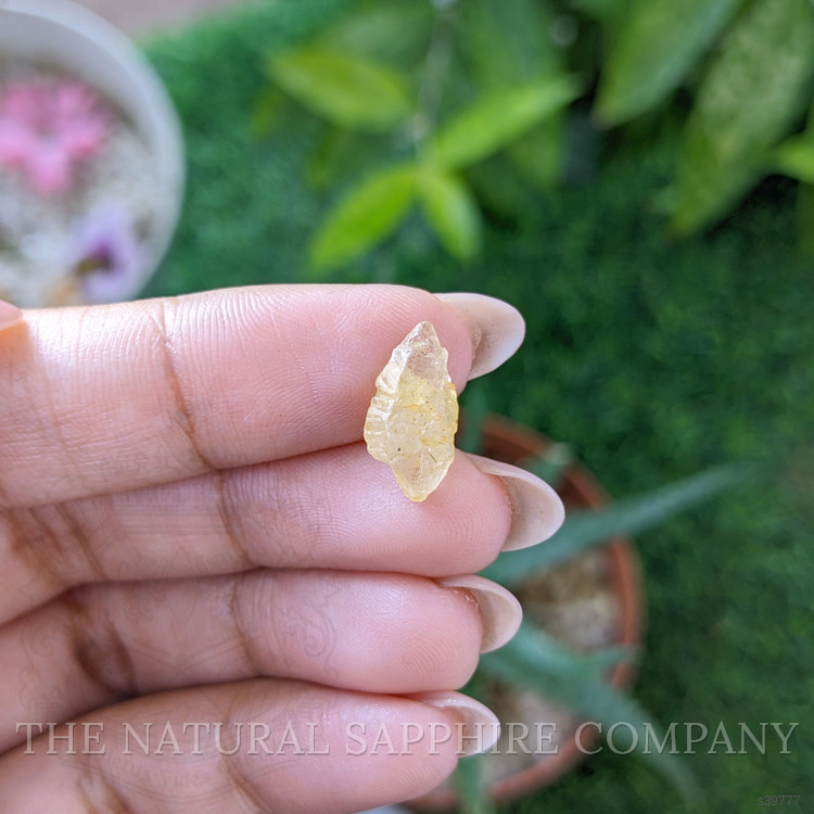 4.62 Ct. Yellow Sapphire from Ceylon (Sri Lanka)