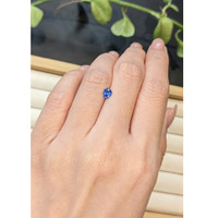 0.51 Ct. Blue Sapphire from Ceylon (Sri Lanka) Life Style