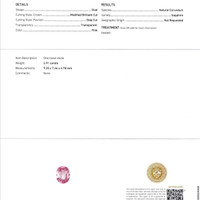 Jewelry Scan Report