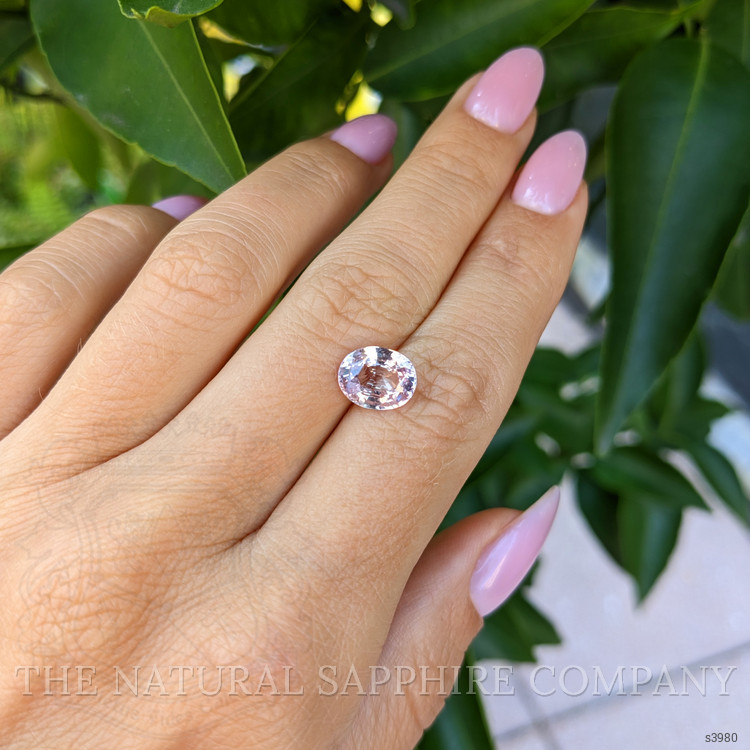 2.91 Ct. Pink Sapphire from Ceylon (Sri Lanka)