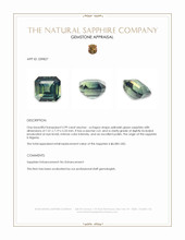 2.99 Ct. Yellowish Green Sapphire from Nigeria Appraisal
