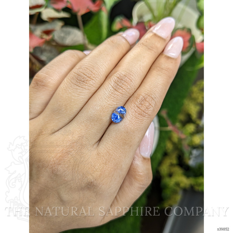 2.23 Ct. Bi Color Sapphire from Ceylon (Sri Lanka)