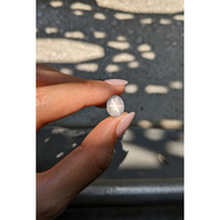 7.48 Ct. Grey Star Sapphire from Ceylon (Sri Lanka) Life Style