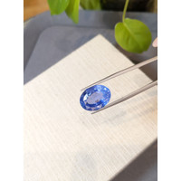 17.42 Ct. Blue Sapphire from Ceylon (Sri Lanka) Life Style