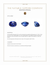 18.10 Ct. Blue Sapphire from Ceylon (Sri Lanka) Appraisal