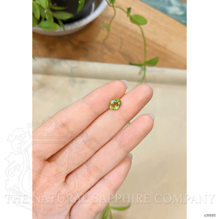 1.63 Ct. Greenish Yellow Sapphire from Ceylon (Sri Lanka)