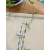 1.23 Ct. Yellow Sapphire from Ceylon (Sri Lanka) Life Style