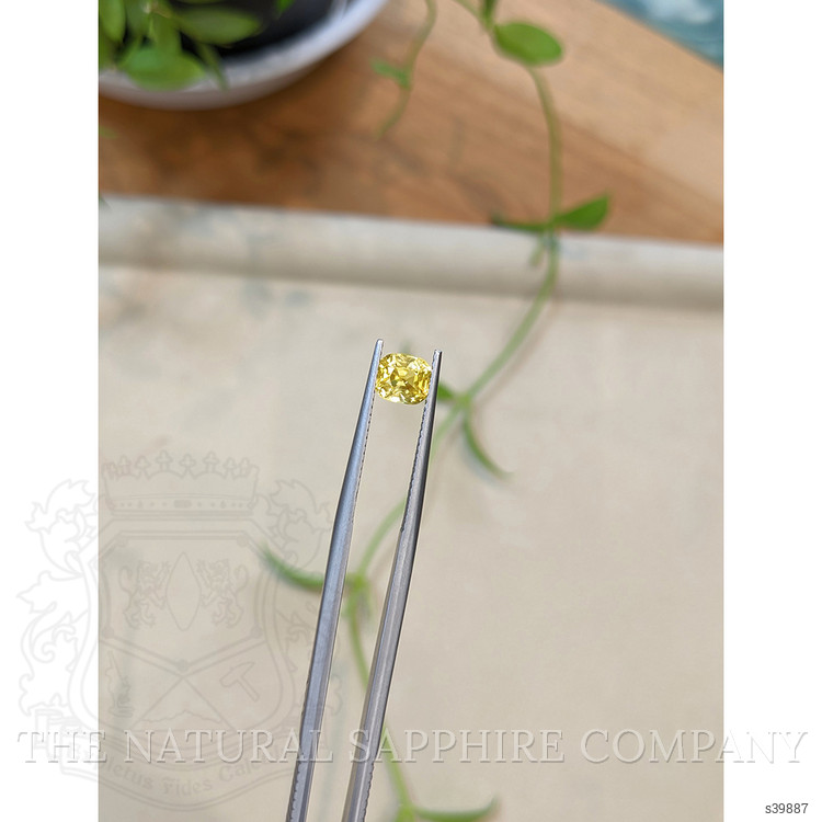 1.23 Ct. Yellow Sapphire from Ceylon (Sri Lanka)