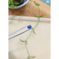0.95 Ct. Blue Sapphire from Ceylon (Sri Lanka) Life Style