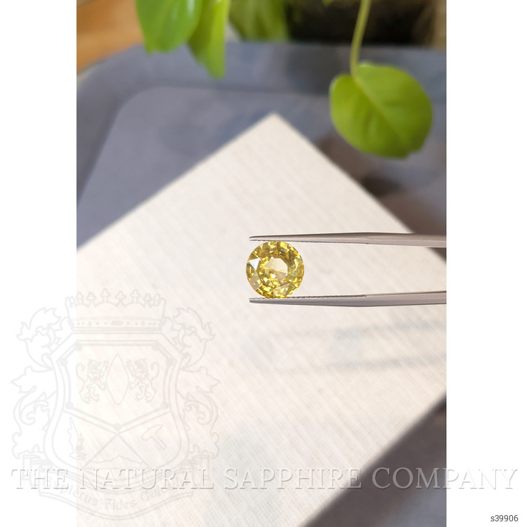 5.01 Ct. Yellow Sapphire from Ceylon (Sri Lanka)