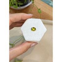 1.96 Ct. Greenish Yellow Sapphire from Ceylon (Sri Lanka) Life Style