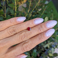 0.85 Ct. Ruby from Madagascar Life Style