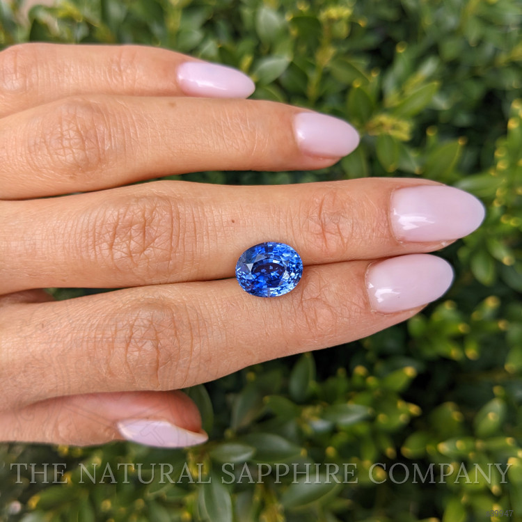 4.61 Ct. Blue Sapphire from Ceylon (Sri Lanka)