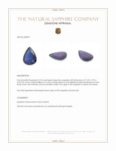 4.70 Ct. Blue Sapphire from Ceylon (Sri Lanka) Appraisal