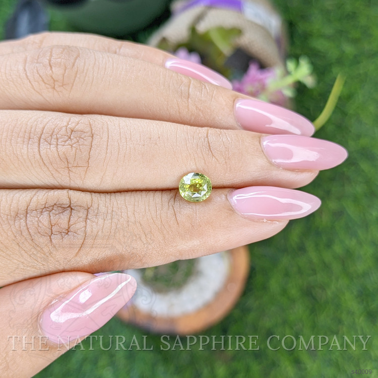 1.11 Ct. Yellowish Green Sapphire from Tanzania