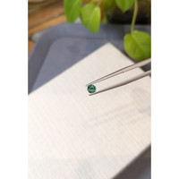 0.37 Ct. Bluish Green Sapphire from Montana Life Style