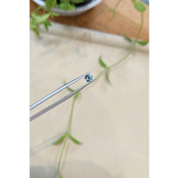 0.35 Ct. Bluish Green Sapphire from Montana Life Style