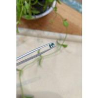 0.48 Ct. Bluish Green Sapphire from Montana Life Style