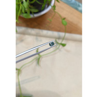 0.49 Ct. Bluish Green Sapphire from Montana Life Style