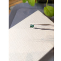 0.49 Ct. Bluish Green Sapphire from Montana Life Style