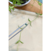 0.36 Ct. Bluish Green Sapphire from Montana Life Style
