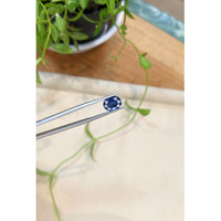 2.77 Ct. Blue Sapphire from Thailand Life Style