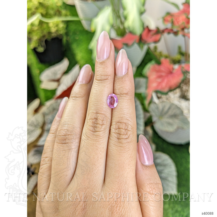 1.24 Ct. Pink Sapphire from Ceylon (Sri Lanka)