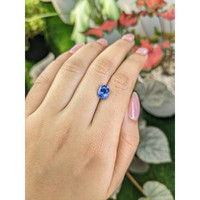 2.41 Ct. Blue Sapphire from Ceylon (Sri Lanka) Life Style