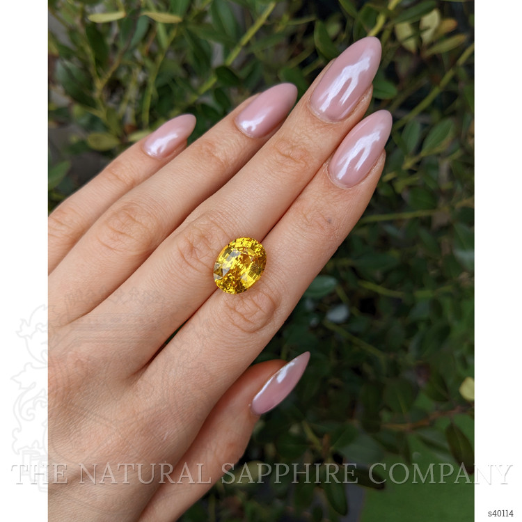 11.31 Ct. Yellow Sapphire from Ceylon (Sri Lanka)