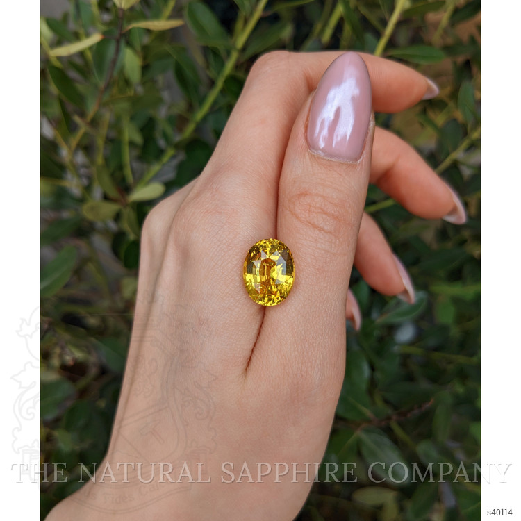 11.31 Ct. Yellow Sapphire from Ceylon (Sri Lanka)