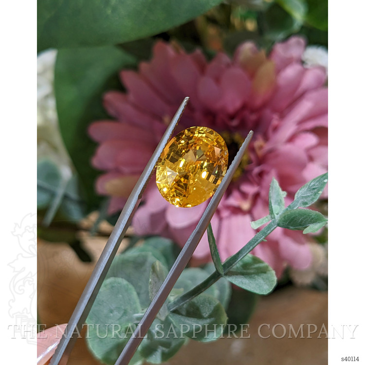 11.31 Ct. Yellow Sapphire from Ceylon (Sri Lanka)
