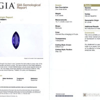 Jewelry Scan Report