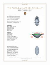 Jewelry 3 D Scan Report