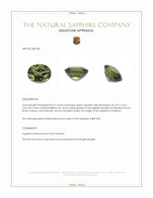 Jewelry Appraisal