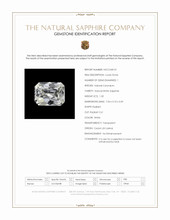 Jewelry Scan Report