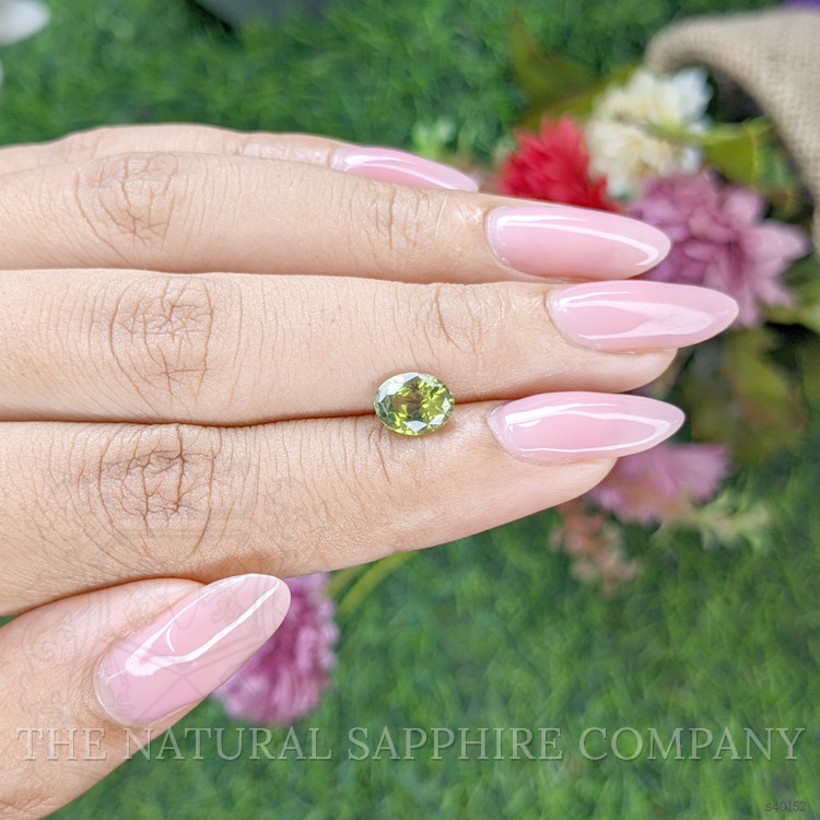 1.44 Ct. Green Sapphire from Ceylon (Sri Lanka)