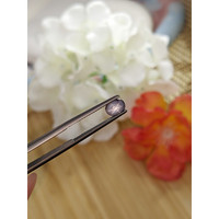 1.40 Ct. Grey Star Sapphire from Ceylon (Sri Lanka) Life Style