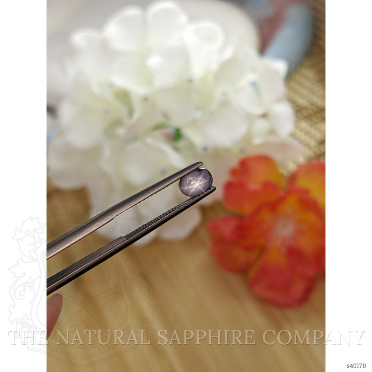 1.40 Ct. Grey Star Sapphire from Ceylon (Sri Lanka)
