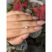 1.26 Ct. Greyish Blue Star Sapphire from Ceylon (Sri Lanka) Life Style