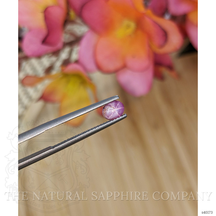 0.73 Ct. Pinkish Purple Star Sapphire from Ceylon (Sri Lanka)