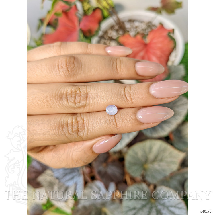 1.39 Ct. Violet Star Sapphire from Ceylon (Sri Lanka)