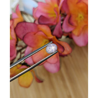 1.49 Ct. Bluish Grey Star Sapphire from Ceylon (Sri Lanka) Life Style